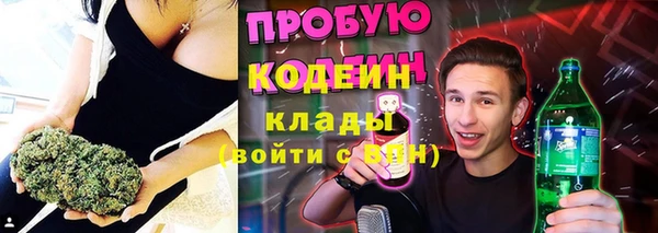 индика Снежногорск